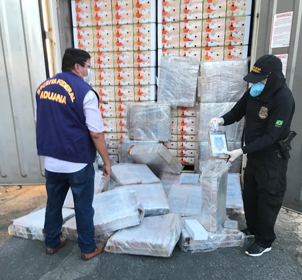 Quase 704 kg de cocaína são encontrados dentro de container com mangas que seguia para a Europa, no Porto de Natal — Foto: PF/Divulgação