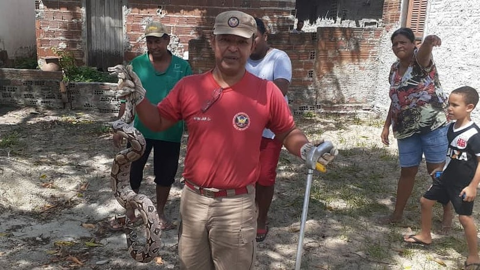 Corpo de Bombeiros resgata cobra na Grande Natal — Foto: Corpo de Bombeiros/Divulgação