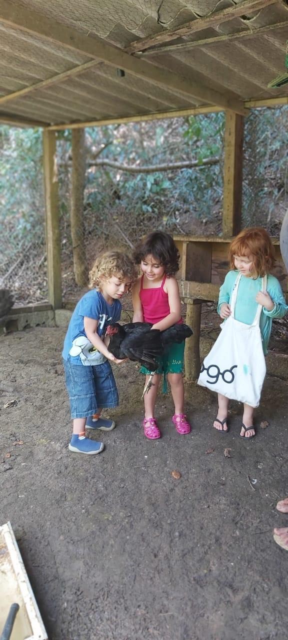 Crianças no galinheiro (Foto: Arquivo pessoal)