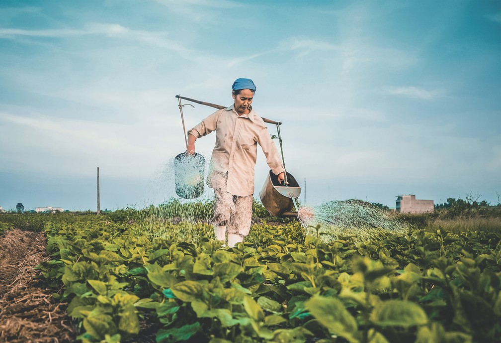 O glifosato Ã© hoje o herbicida mais comum do mundo â Foto: Unplash