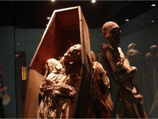 Museu das Múmias de Guanajuato (Foto: Divulgação)