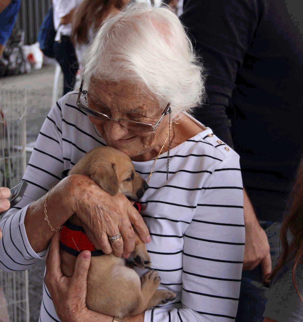 Senhora dá colo para filhote de cachorro em feira de adoção de animais, no Distrito Federal — Foto: PetExpo Brasília/ Divulgação
