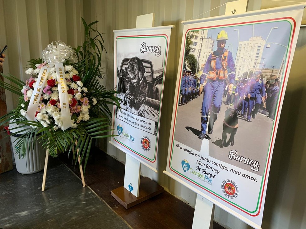 Homenagem ao Barney feita na manhã desta segunda-feira — Foto: Mateus Castro/ NSC TV