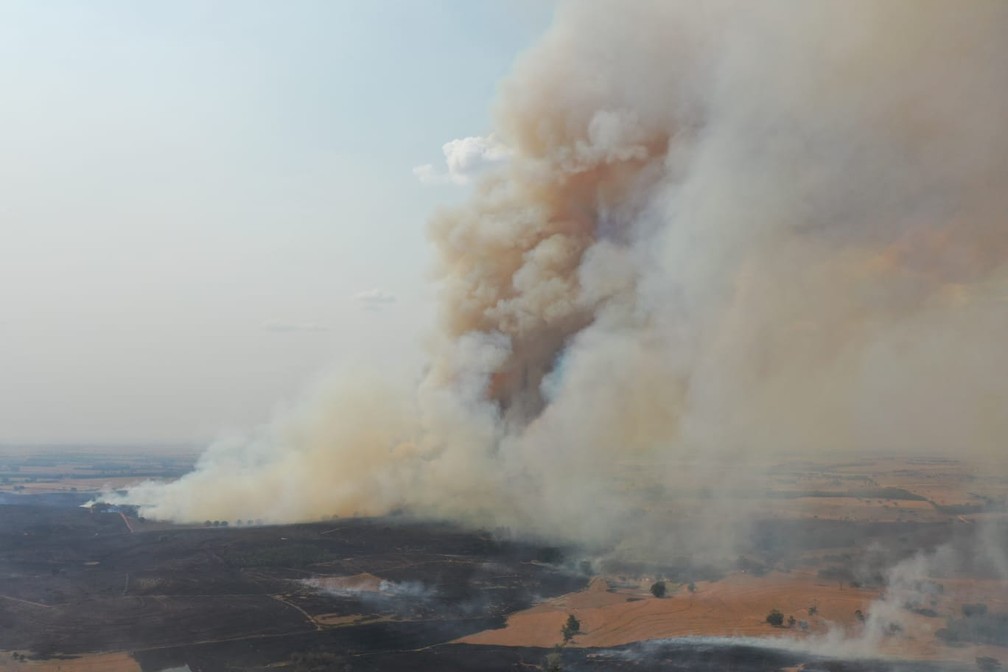 Incêndio em vegetação atingiu 400 mil metros quadrados e formou nuvem gigante de fumaça em Junqueirópolis — Foto: Márcio Cabanhas
