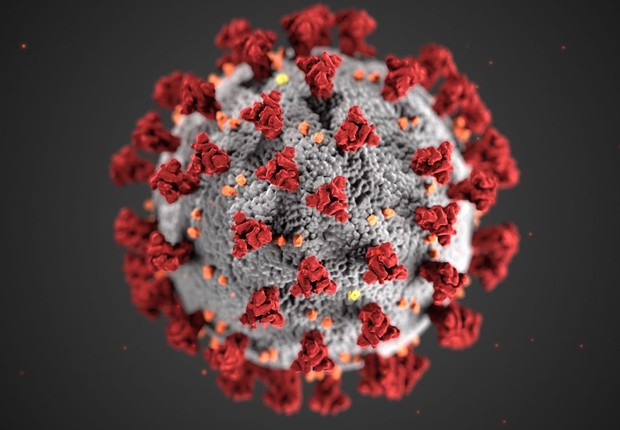 Coronavírus (Foto: Reprodução/ CDC EUA)