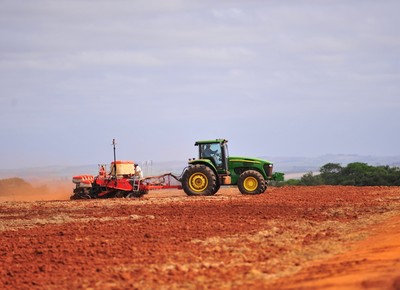 agricultura_algodao_ (Foto: Ernesto de Souza/Ed. Globo)