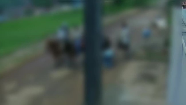 Veja momento em que suspeitos levam jovem para matagal, em Silvnia