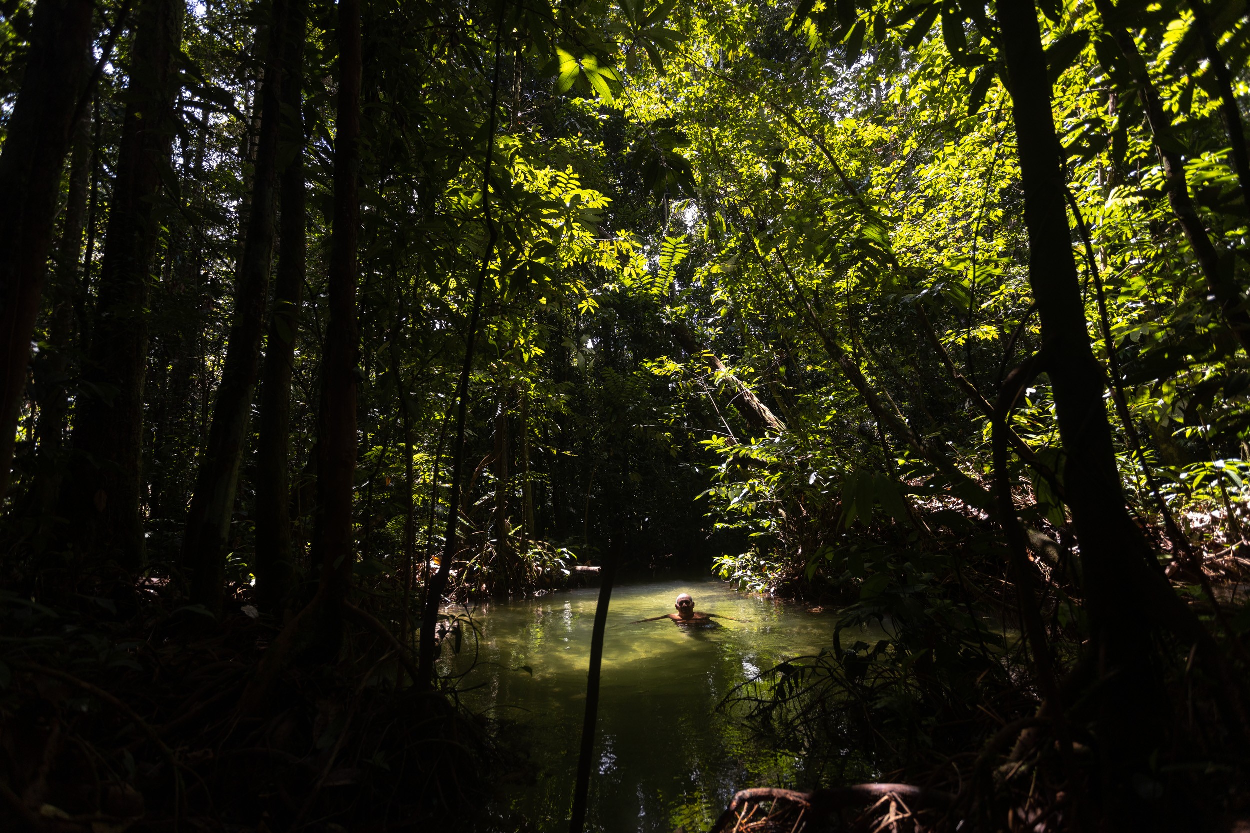 Amazônia tem 23% de floresta em terras públicas não destinadas registradas ilegalmente como propriedades privadas, aponta levantamento thumbnail