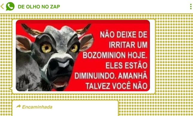 Militantes pró-Lula também criticaram o 'gado bolsominion'