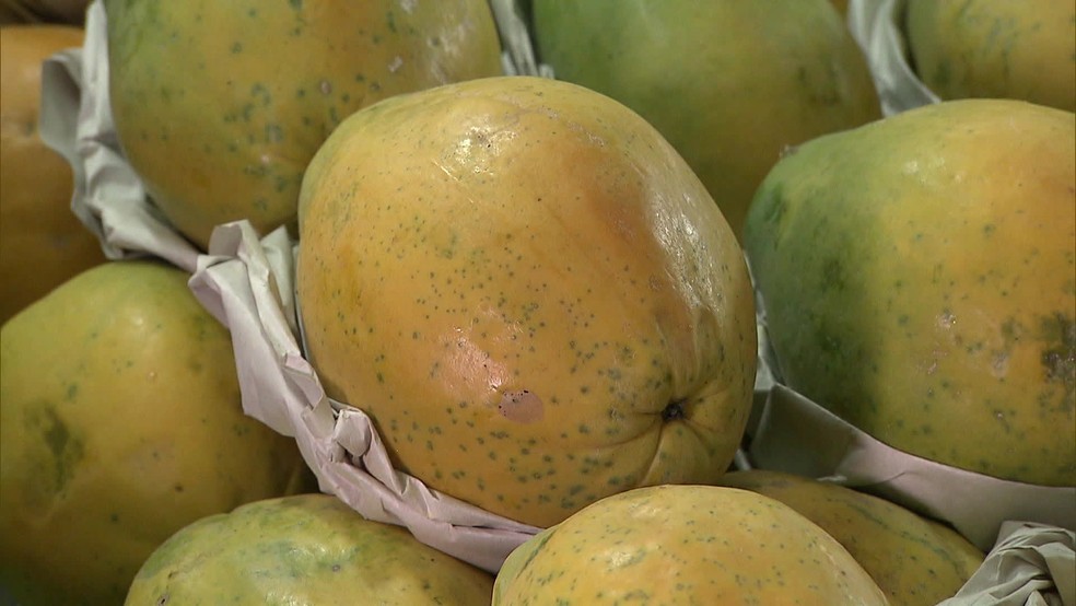 Preço de frutas e verduras aumentou nos primeiros meses do ano — Foto: TV Globo/Reprodução