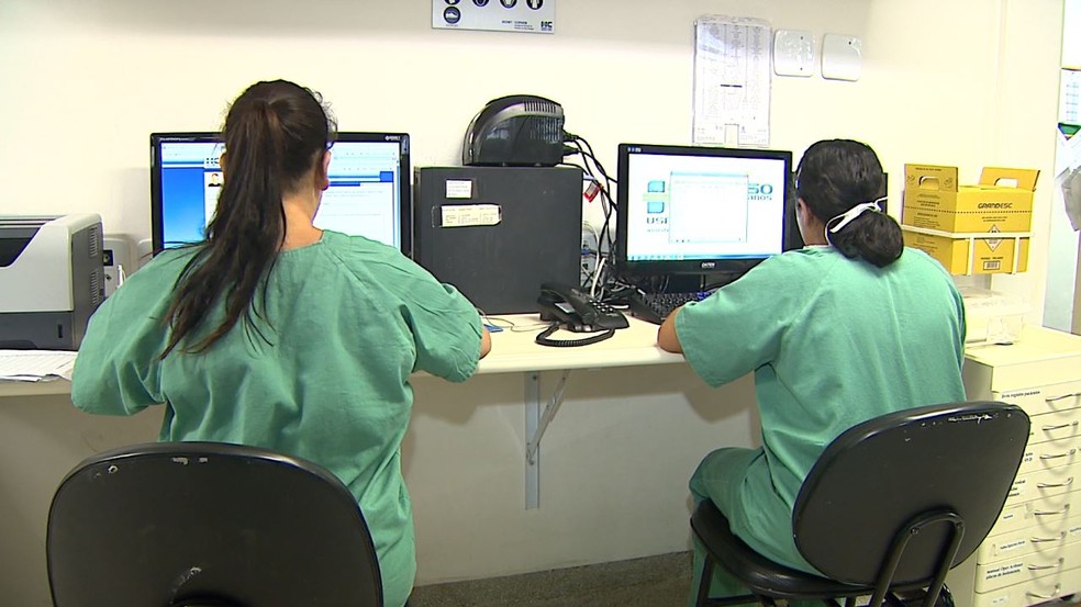 Equipe trabalha em laudos de exames de Covid-19 em Ribeirão Preto, SP — Foto: Reprodução/EPTV
