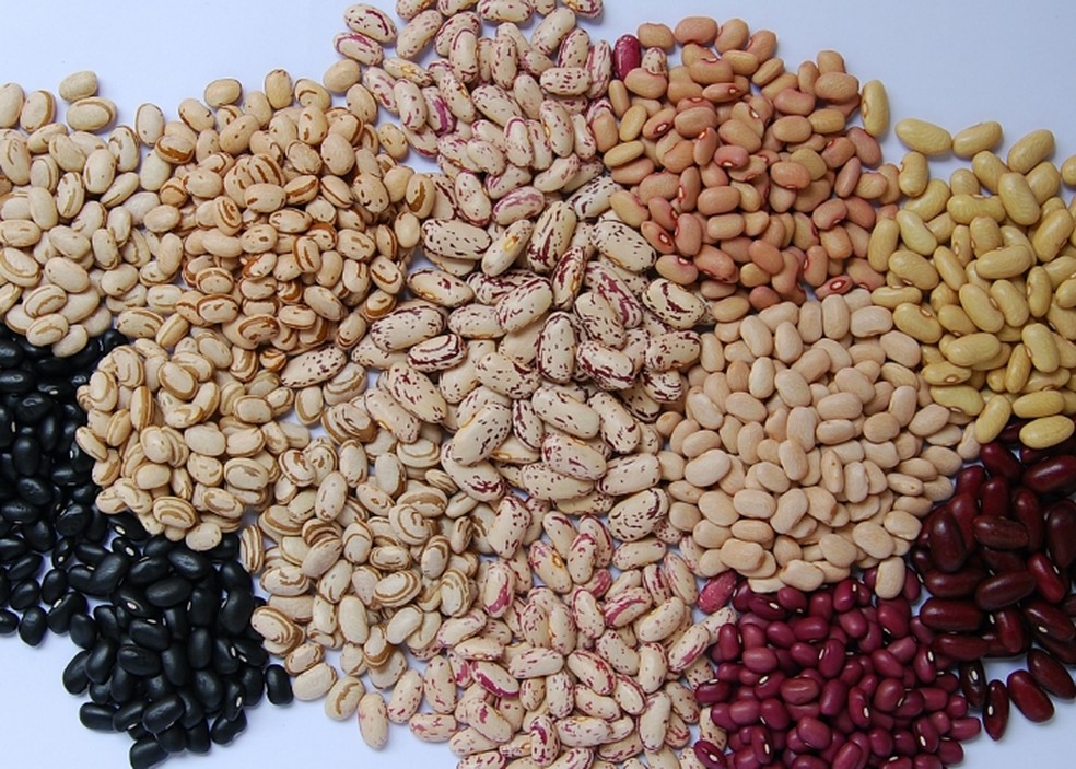 Feijão, ervilha, lentilha e grão-de-bico são leguminosas ricas em fibras e proteínas e ajudam pessoas com dengue — Foto: Embrapa/Divulgação