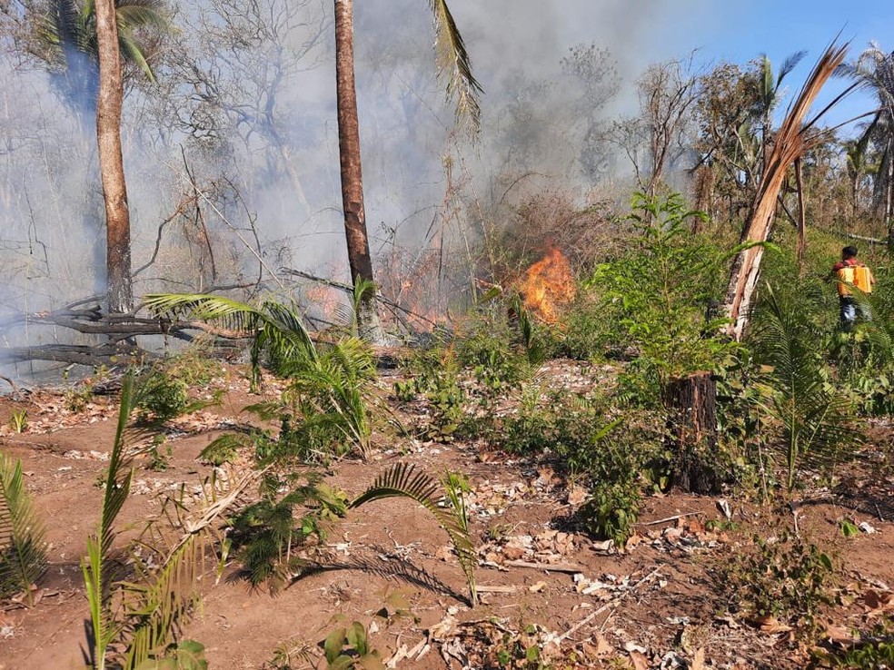 O fogo foi registrado no sábado (31) durante um funeral que ocorria na aldeia, segundo os indígenas — Foto: Marcelo Alves Terena Coguiepa/Arquivo pessoal