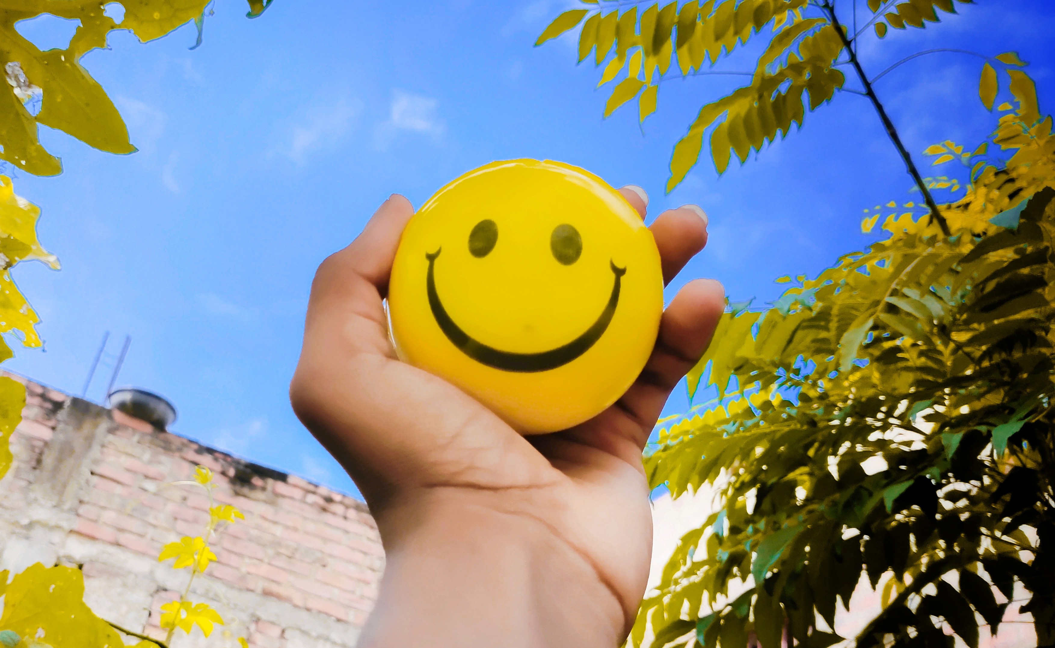 Estudo da Universidade de Trento, na Itália, mostra como é possível aprender a ter uma vida mais feliz (Foto:  Shaurya Sagar / Unsplash)