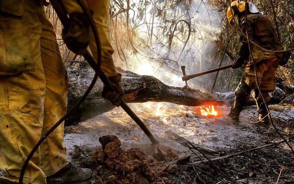 Bombeiros combatem fogo na Serra do Rola Moça nesta sexta-feira. (Foto: Corpo de Bombeiros/Divulgação)