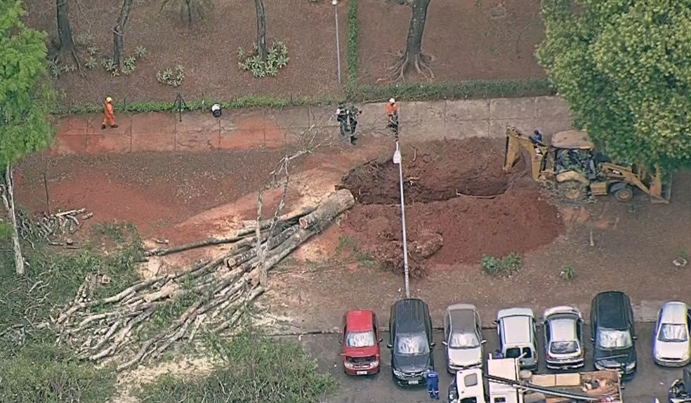 Queda de árvore na Asa Sul atinge carro e deixa moradores sem água, em  Brasília | Distrito Federal | G1