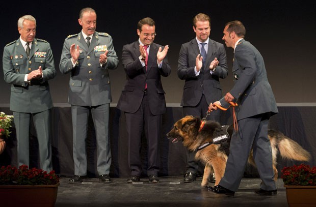 Ajax foi levado ao palco por seu treinador, o sargento Juan Carlos Alabarces Muñoz (Foto: Paul White/AP)