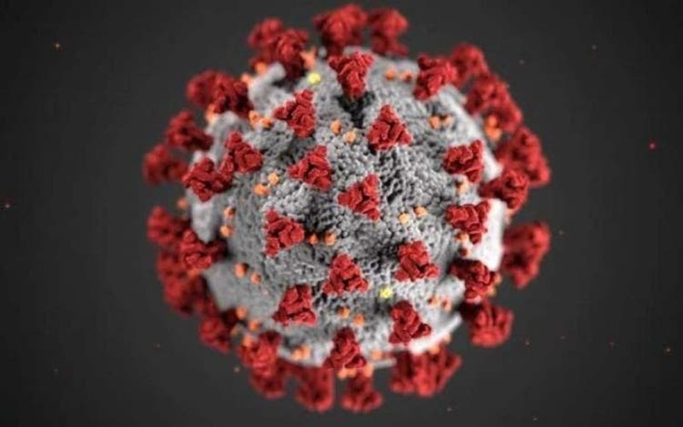 coronavírus — Foto: Reprodução