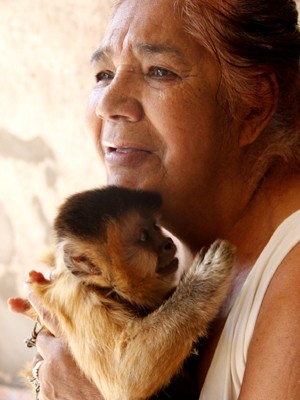 Macaco foi criado em São Carlos durante 37 anos (Foto: Fabio Rodrigues/G1)