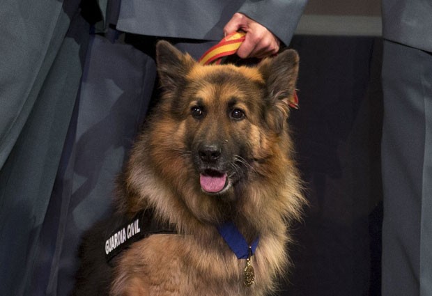 Ajax recebe a medalha de ouro da entidade britânica, em cerimônia realizada perto de Madri, em Mostoles (Foto: Paul White/AP)