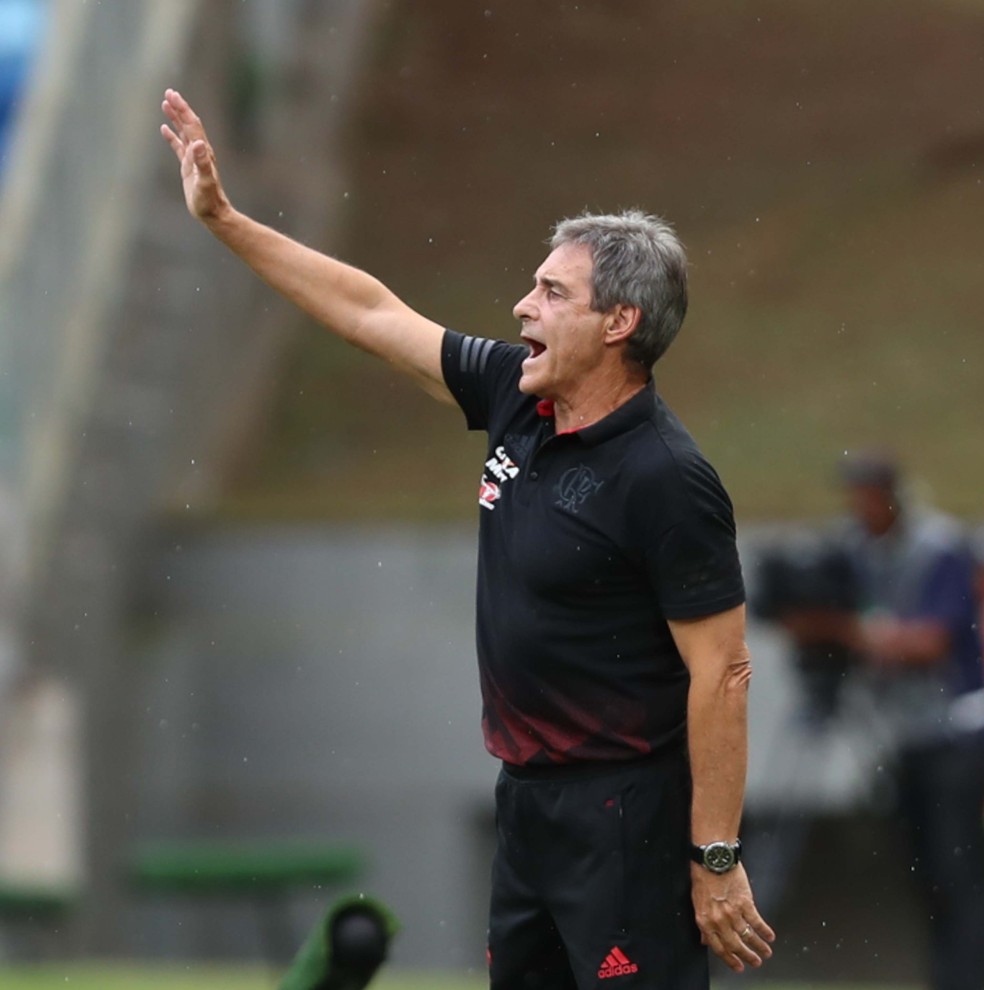 Carpegiani ficou preocupado com a falta de rea��o do time ap�s o primeiro gol do Fluminense  (Foto: Gilvan de Souza / Flamengo)