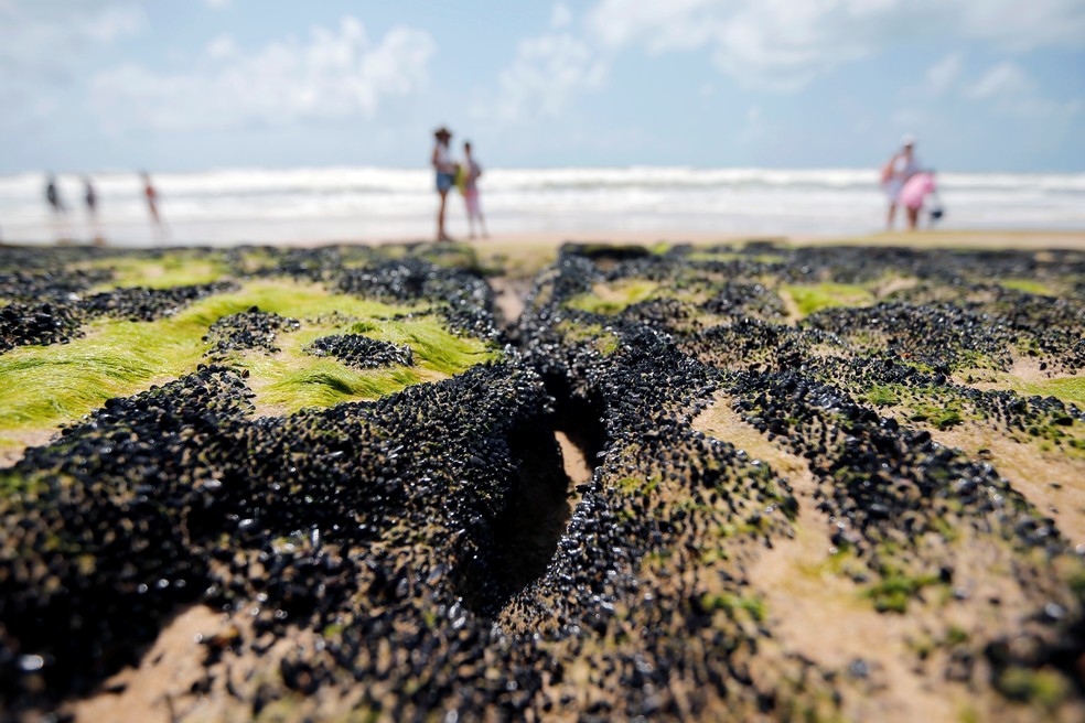 Manchas de óleo na praia Sítio do Conde, na Bahia — Foto: REUTERS/Adriano Machado
