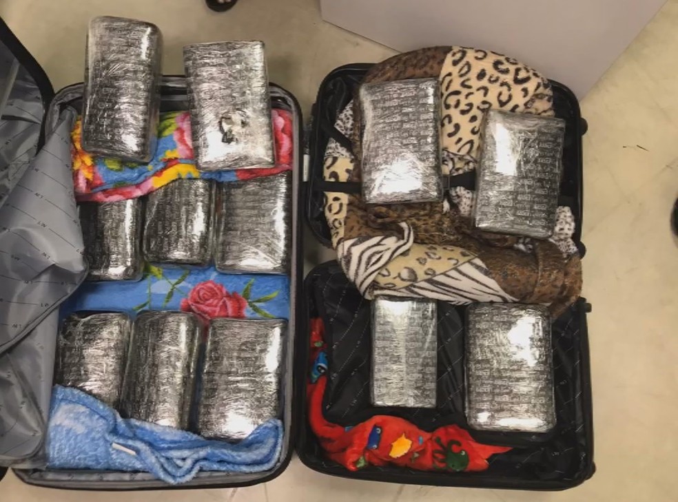 Droga encontrada em mala de mulher no Aeroporto de Brasília — Foto: Polícia Federal/Divulgação