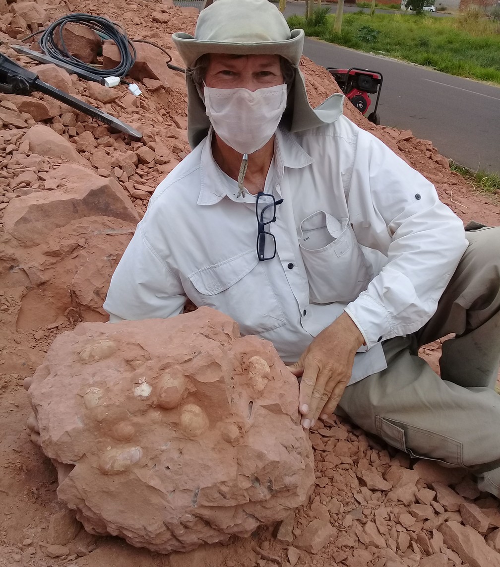 O pesquisador Willian Roberto Nava encontrou ossos fossilizados de crocodilo da 'Era dos Dinossauros' no sítio paleontológico de Presidente Prudente (SP) — Foto: Willian Roberto Nava/Cedida