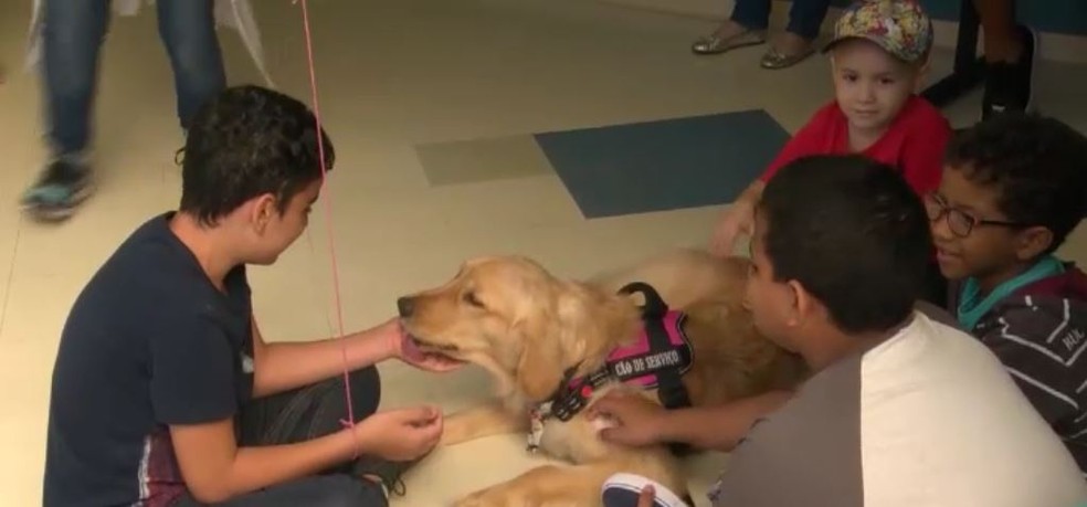  Hope junto com pacientes do INCA â€” Foto: ReproduÃ§Ã£o/ TV Globo
