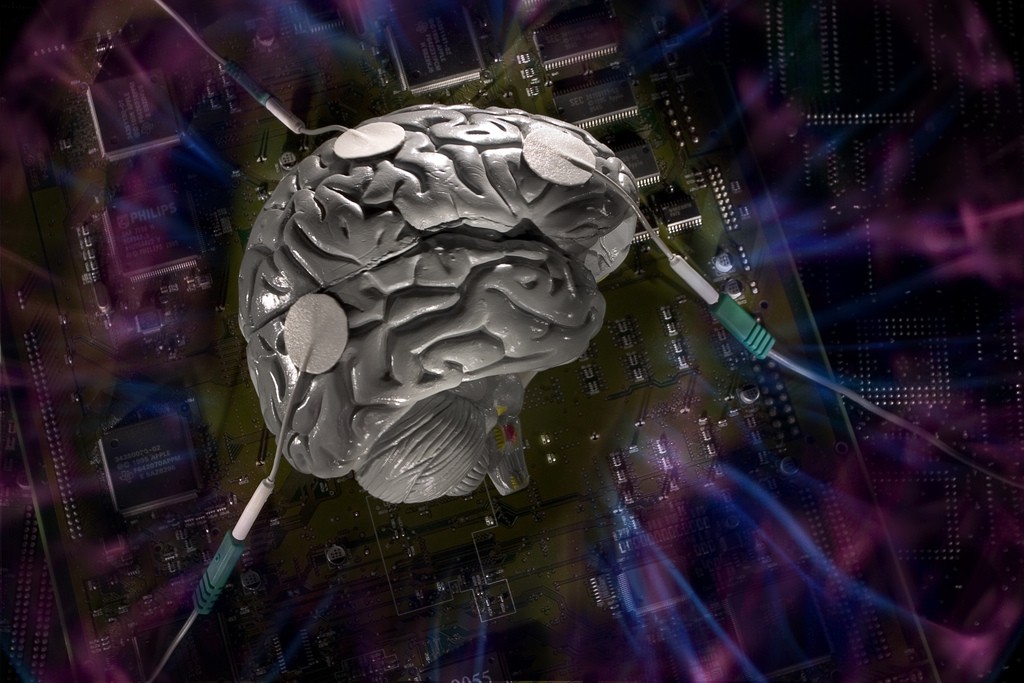 Neuroplastia digital (Foto: Flickr/Creative Commons)