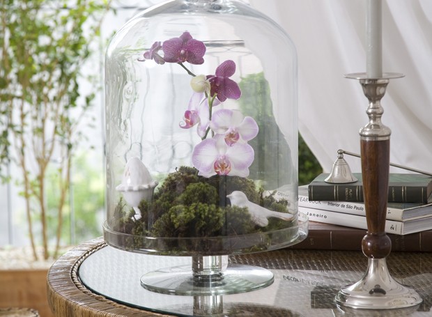 O arranjo com orquídeas e musgos, da Bothanica Paulista, aparece dentro da campânula de vidro  (Foto: Evelyn Muller/Editora Globo)