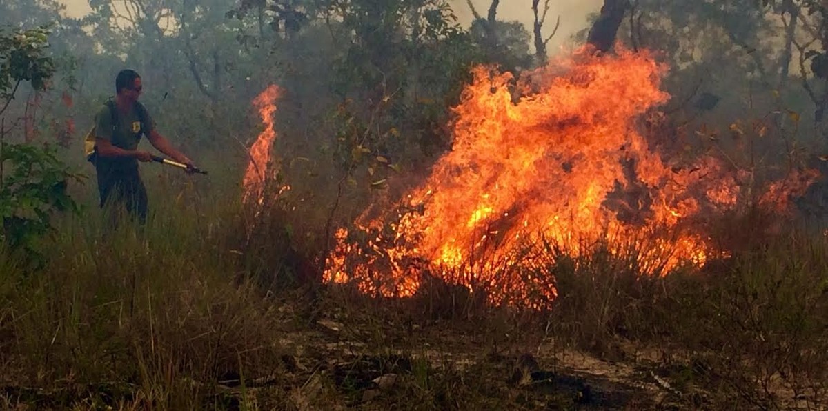 Polícia prende quatro integrantes de Brigada suspeitos de incêndio criminoso na APA Alter do Chão