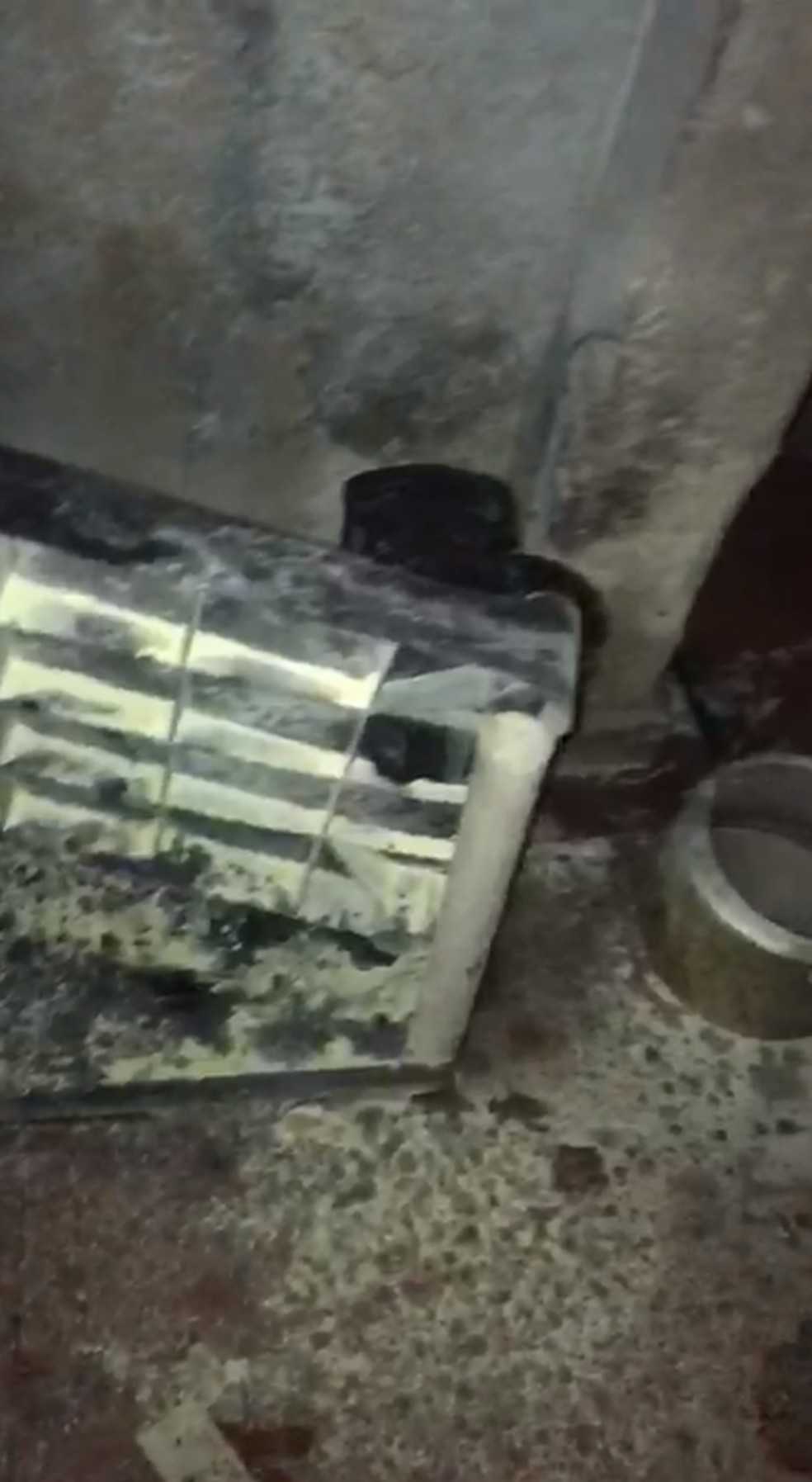 Cozinha pegou fogo e família ficou gravemente ferida em Santos, SP — Foto: Arquivo pessoal 