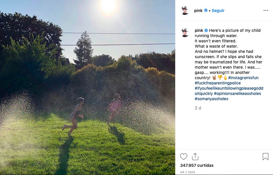 O post no qual a cantora Pink faz piada com as críticas constantes das quais é alvo nas redes sociais (Foto: Instagram)
