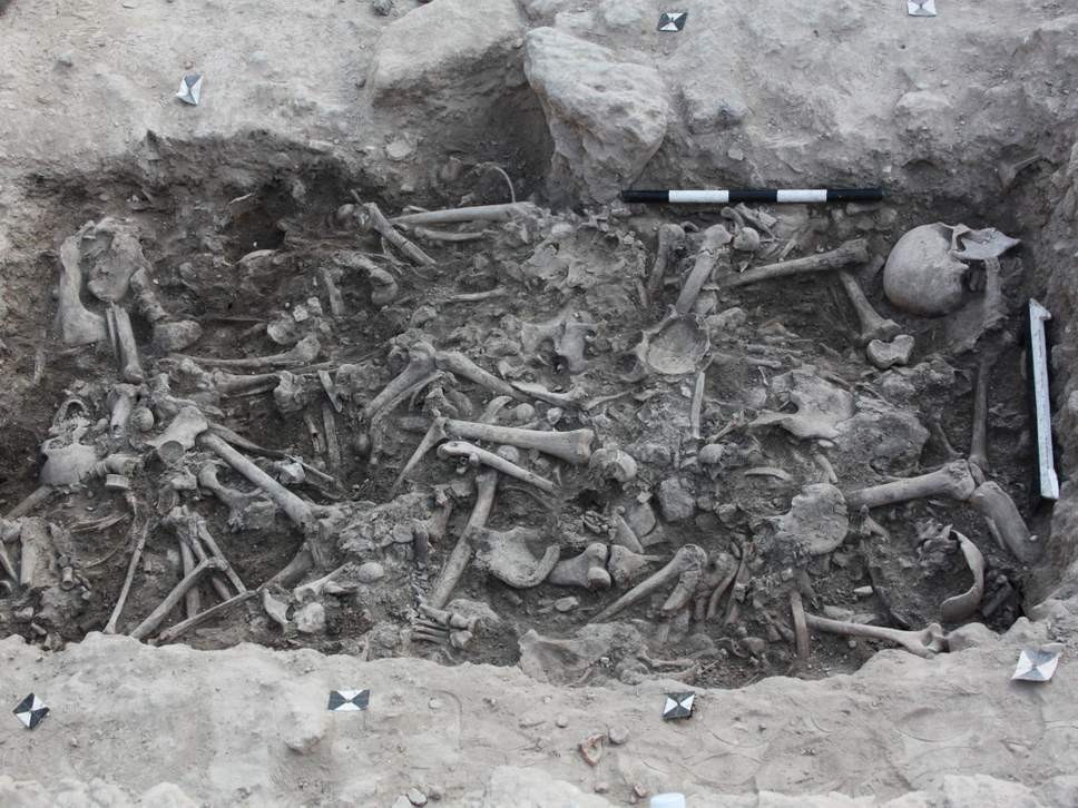 Ossos pertencentes a guerreiros que lutaram nas cruzadas do século 13, durante a Idade Média, foram encontrados em uma escavação na cidade de Sídano, no Líbano (Foto: CLAUDE DOUMET-SERHAL)