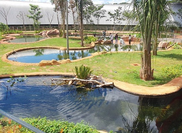 Com pequenas lagoas, a área externa do complexo é um microcosmo que reproduz a estética do Pantanal (Foto: Kelly Venturini / Divulgação)
