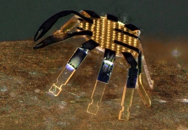 Menor robô ambulante do mundo parece um caranguejo em miniatura (Foto: Northwestern University)