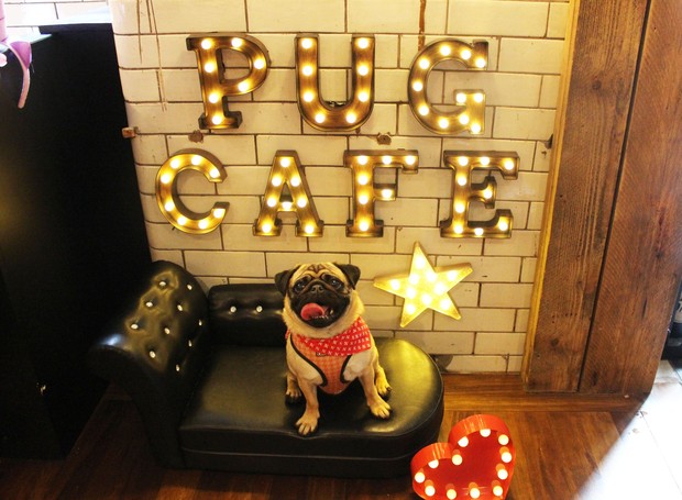 Pug Cafe (Foto: Reprodução/Facebook)