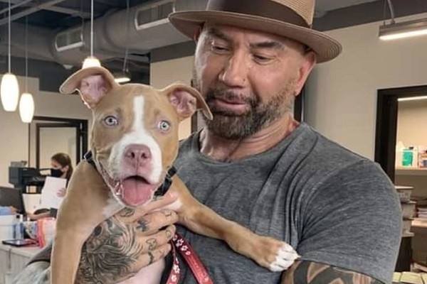 O ator Dave Bautista com a cadela que adotou após saber do passado de abusos sofridos pela animal (Foto: Instagram)