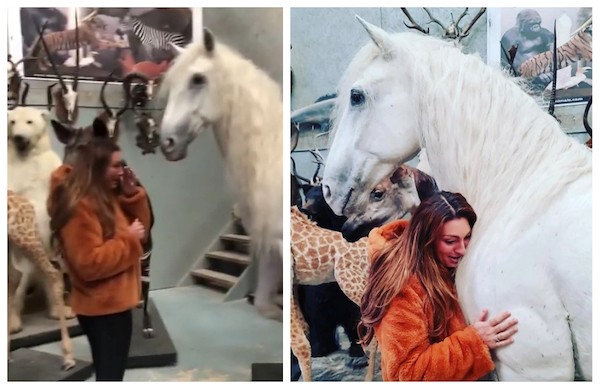 O reencontro da empresária a estrela de reality shows Luisa Zissman com o cavalo Madrono, morto em 2019 e agora empalhado (Foto: Instagram)