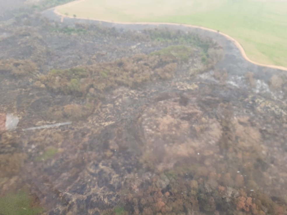 Incêndio atinge Parque Estadual do Aguapeí — Foto: Defesa Civil