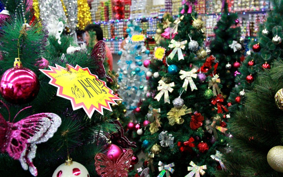 Árvore de Natal custa a partir de R$ 19,99 em João Pessoa, segundo Procon |  Paraíba | G1