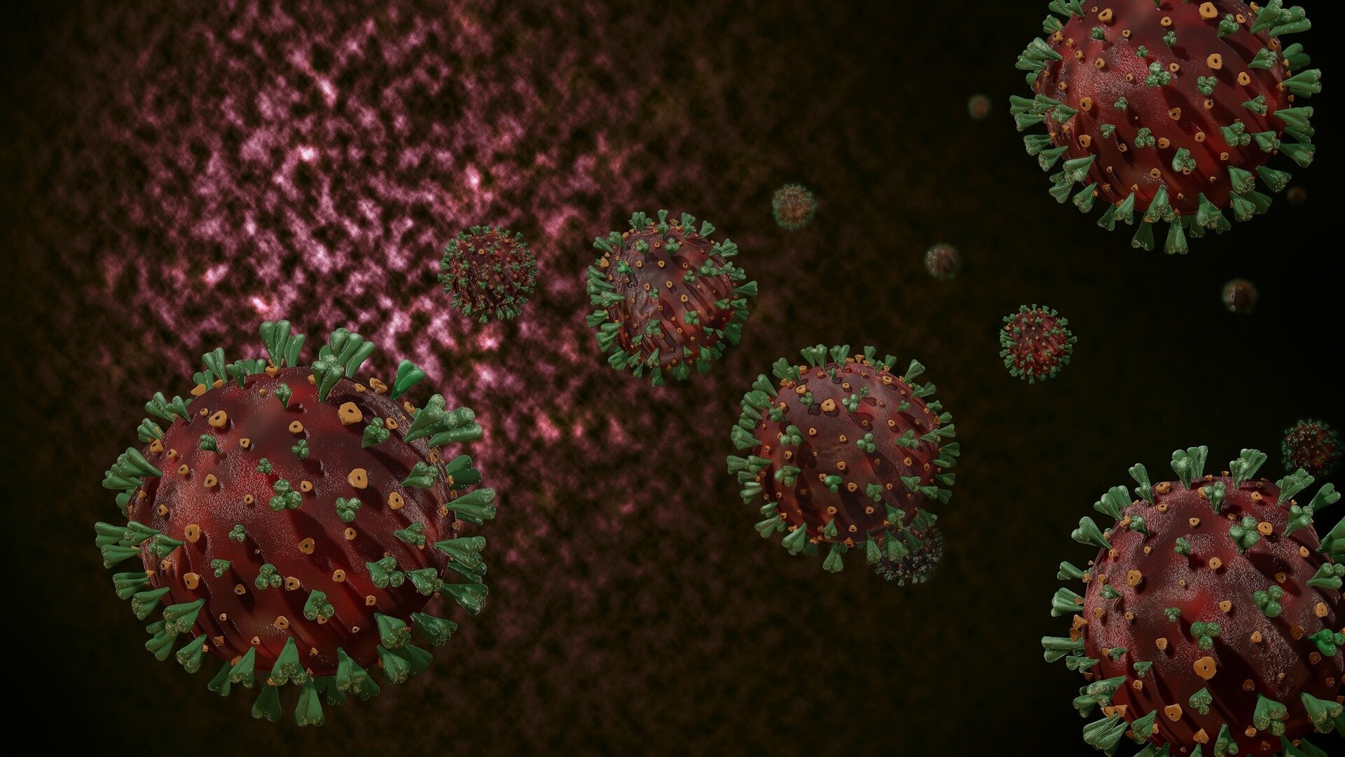 Molécula conhecida como lectina foi capaz de se acoplar à proteína S do novo coronavírus (Foto: Pixabay)