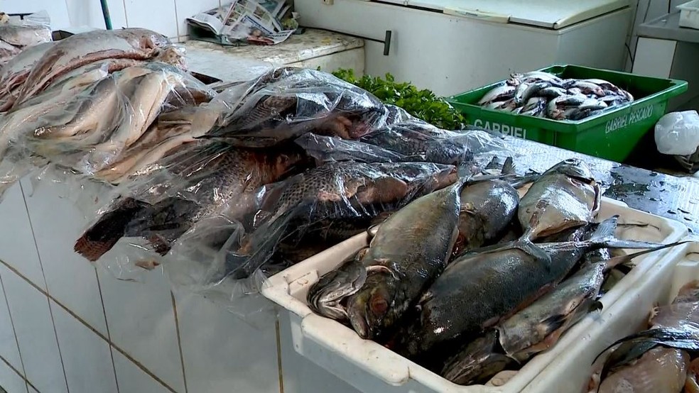 Pescadores reclamam de queda no rendimento em Colatina (Foto: Wando Fagunes/ TV Gazeta)