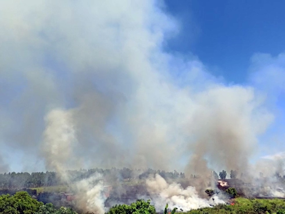 Incêndio no Depósito Municipal de Galhos, em Presidente Prudente (SP), em abril de 2020 — Foto: Reprodução