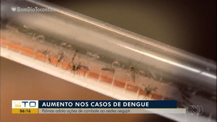Aumento nos casos de dengue faz Palmas adotar ações contra o aedes aegypti