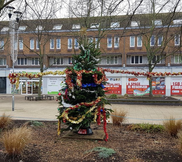 Árvore de Natal: conheça a origem da peça mais importante na decoração  natalina - Casa e Jardim