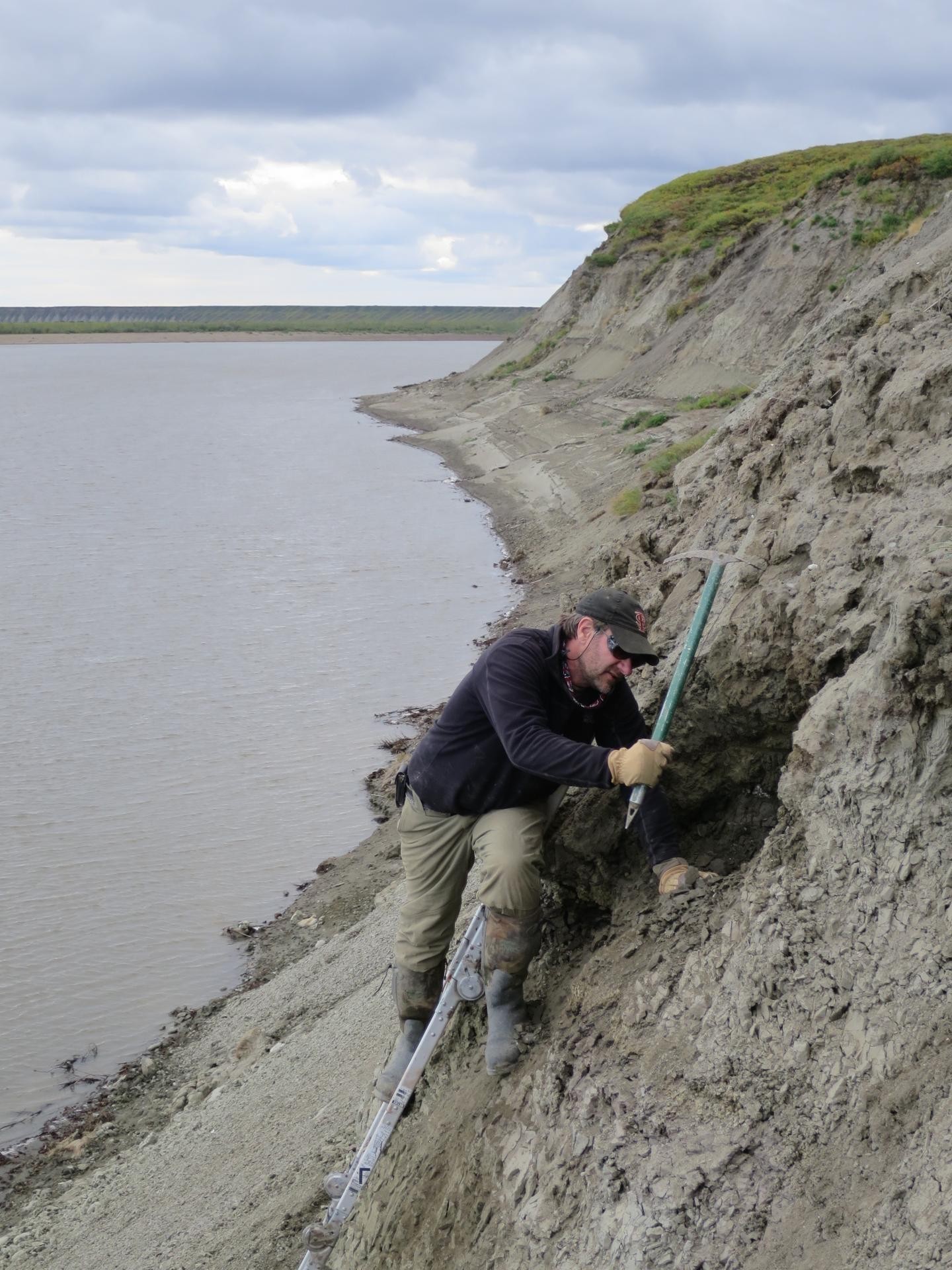 Pesquisador Gregory Erickson escavando à margem do rio Colville  (Foto: Patrick Druckenmiller)