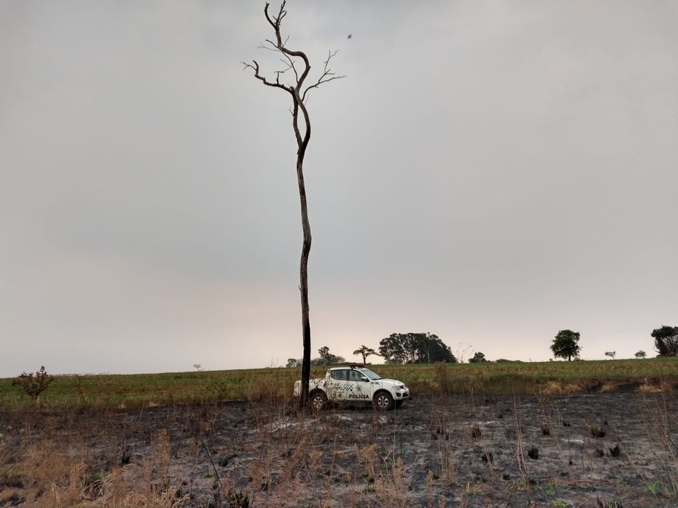Fiscalização constatou danos ambientais em fazenda em Santo Anastácio — Foto: Polícia Militar Ambiental