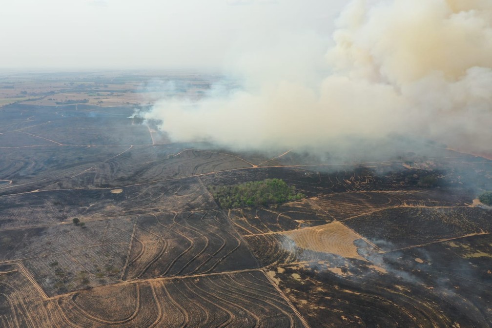 Incêndio em vegetação atingiu 400 mil metros quadrados e formou nuvem gigante de fumaça em Junqueirópolis — Foto: Márcio Cabanhas